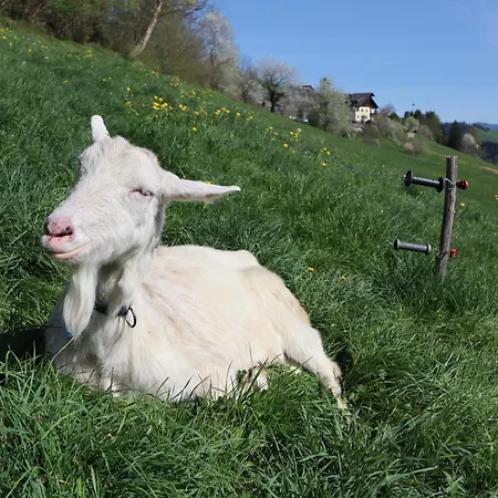Séjour à la ferme Schneiderweg *