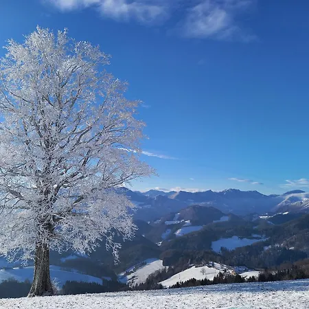 Schneiderweg ファームステイ *