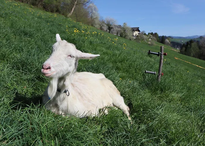 Alojamento de Turismo Rural Schneiderweg *