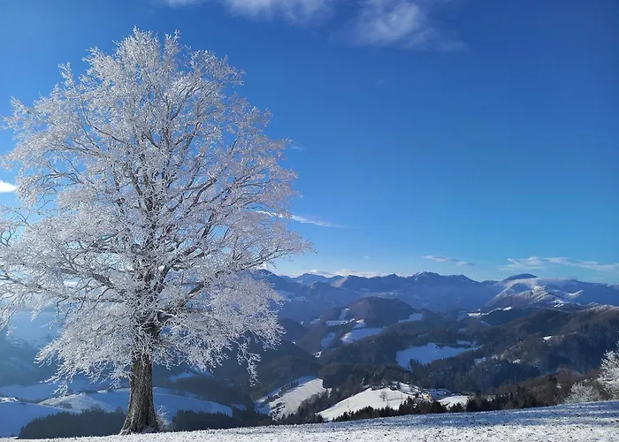 Schneiderweg ファームステイ *