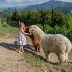 Farm stay Schneiderweg *