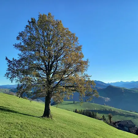 Schneiderweg Gospodarstwo agroturystyczne Laussa