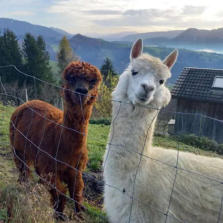 Gospodarstwo agroturystyczne Schneiderweg Laussa