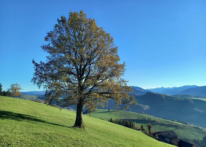 Schneiderweg Gospodarstwo agroturystyczne Laussa