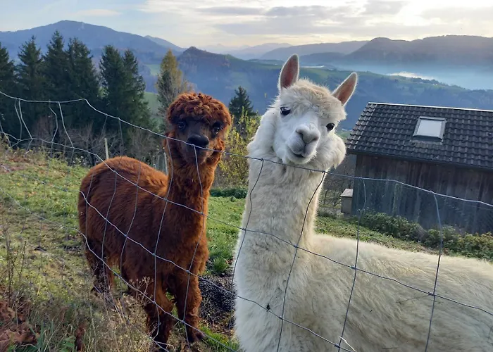 Gospodarstwo agroturystyczne Schneiderweg Laussa