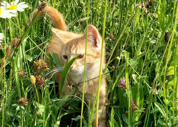 Gospodarstwo agroturystyczne Schneiderweg